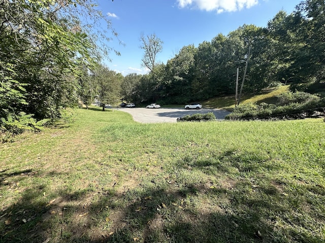 228 Walking Horse Hl, Nashville, TN 37211 - photo 3