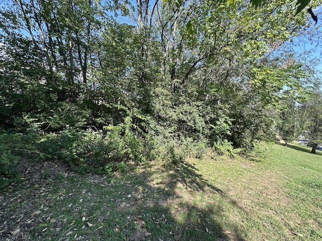 228 Walking Horse Hl, Nashville, TN 37211 - photo 4
