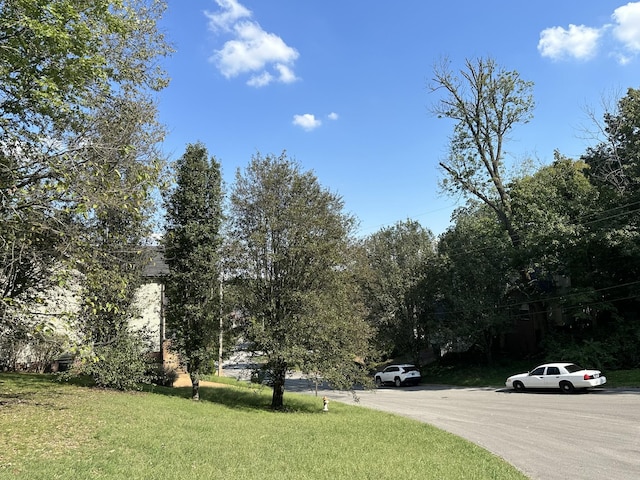 228 Walking Horse Hl, Nashville, TN 37211 - photo 5