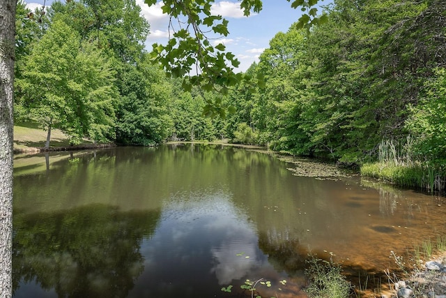 270 Graves Ln, Mcminnville, TN 37110 - photo 47