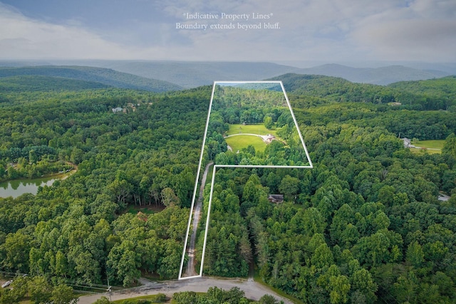 270 Graves Ln, Mcminnville, TN 37110 - photo 3