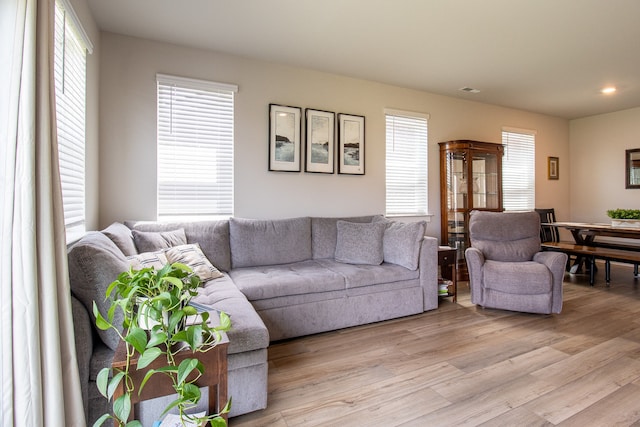 living room featuring a healthy amount of sunlight and light hardwood / wood-style flooring