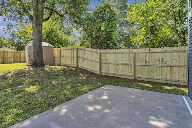 view of yard with a patio and a storage shed