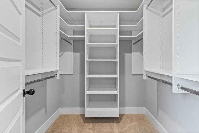 walk in closet with light colored carpet