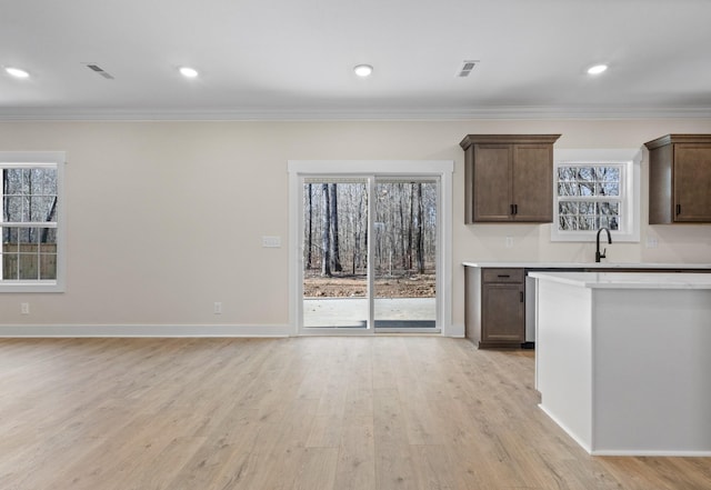 kitchen with a wealth of natural light, ornamental molding, and light hardwood / wood-style floors