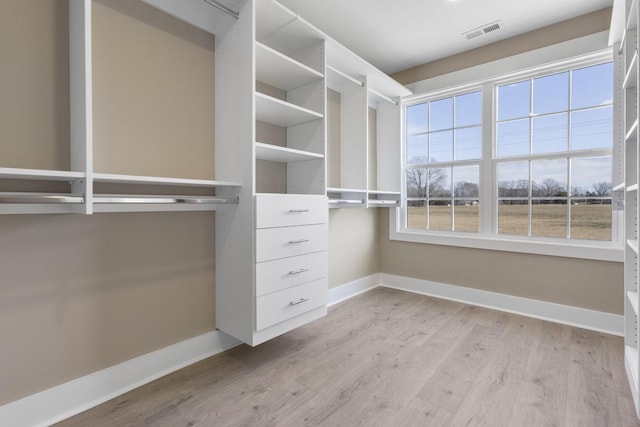 spacious closet with light hardwood / wood-style flooring