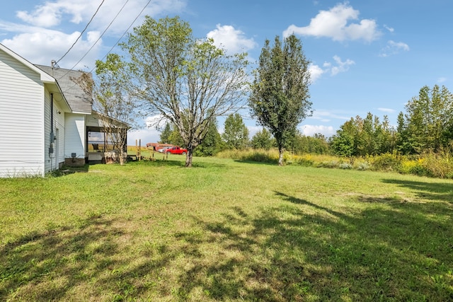 view of yard