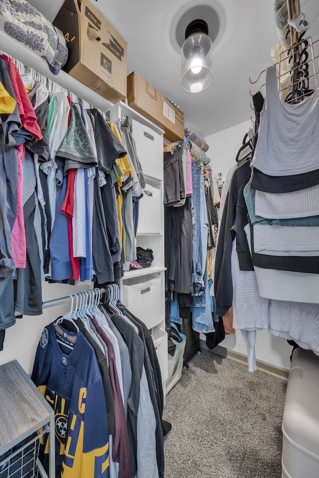 walk in closet featuring carpet floors