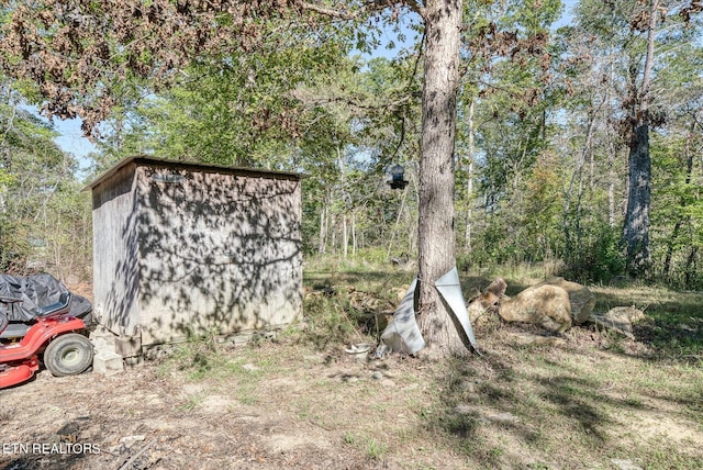 view of yard with a storage unit