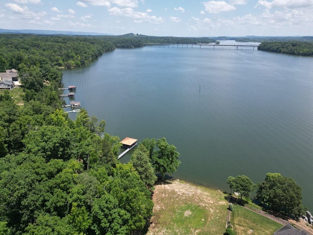 2487 Burton Rd, Sale Creek, TN 37373