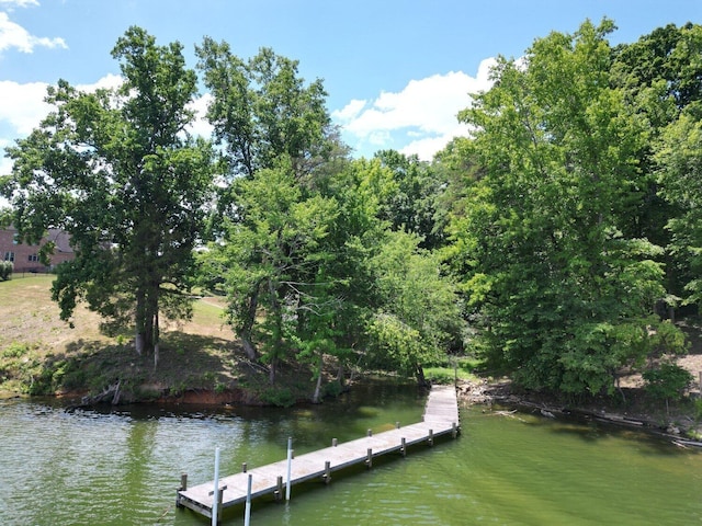 2487 Burton Rd, Sale Creek, TN 37373