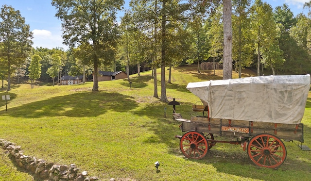 view of property's community featuring a lawn