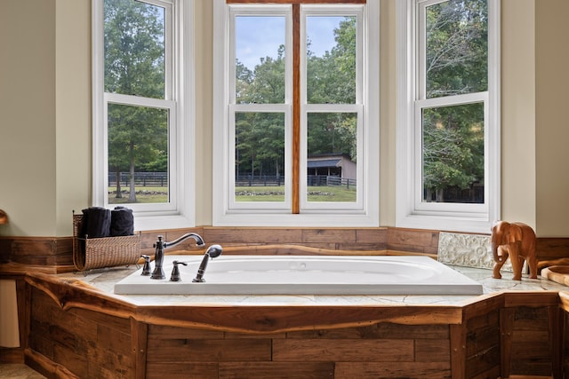 bathroom with a tub and plenty of natural light