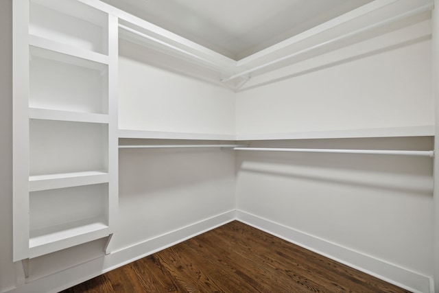 walk in closet with hardwood / wood-style flooring