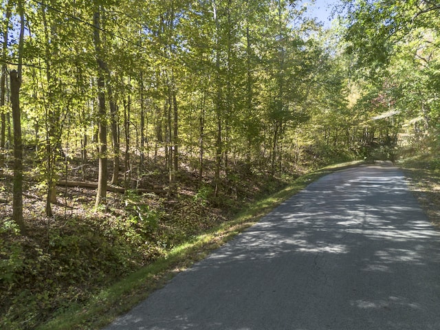 0 Alf Harris Rd, Prospect TN, 38477 land for sale