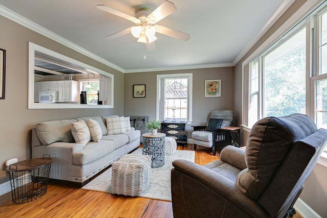 living room with plenty of natural light, crown molding, light wood-type flooring, and ceiling fan