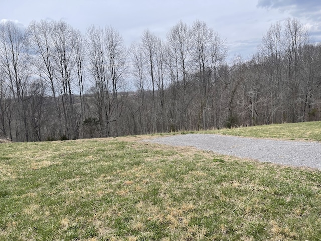 Listing photo 2 for 0 Lanis Rd, Baxter TN 38544