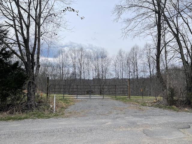 0 Lanis Rd, Baxter TN, 38544 land for sale