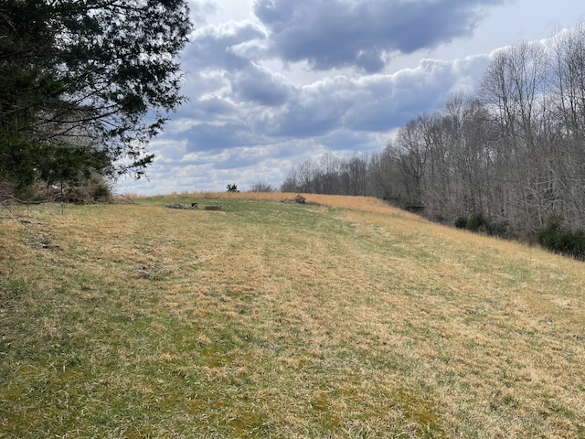 Listing photo 3 for 0 Lanis Rd, Baxter TN 38544