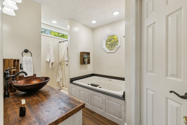 bathroom featuring wood-type flooring, a washtub, sink, and a wealth of natural light