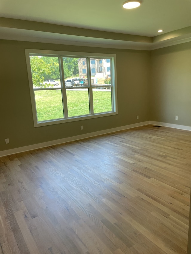 empty room featuring light hardwood / wood-style floors and a wealth of natural light