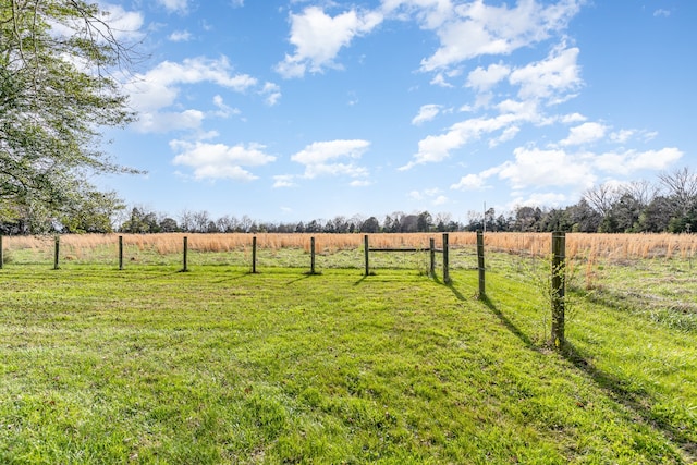 view of yard with a rural view