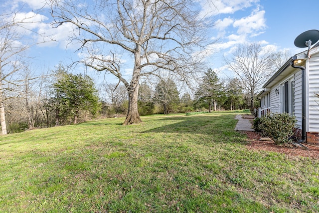 view of yard