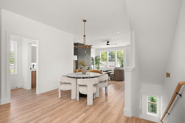 dining room featuring ceiling fan and light hardwood / wood-style flooring