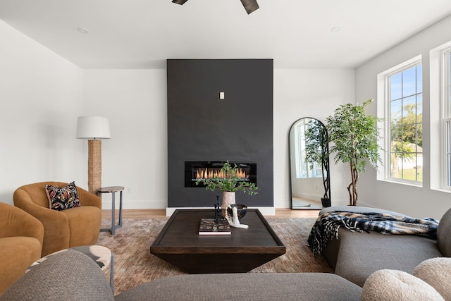 living room featuring hardwood / wood-style flooring and a fireplace