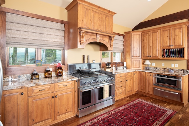 kitchen featuring stainless steel appliances, dark wood-type flooring, plenty of natural light, and vaulted ceiling