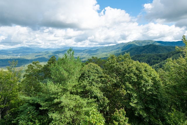 view of mountain feature