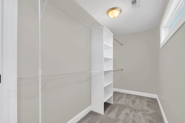 walk in closet with light carpet