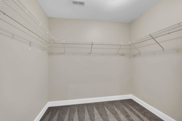 walk in closet featuring carpet floors