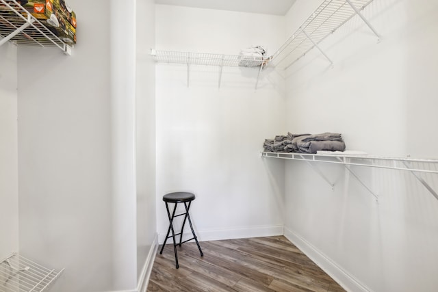 spacious closet featuring wood-type flooring