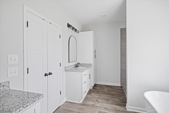 bathroom featuring a bathing tub, vanity, and wood-type flooring