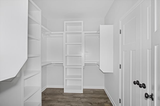 walk in closet featuring dark hardwood / wood-style flooring