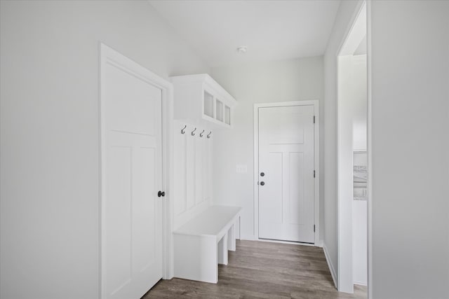 mudroom featuring dark hardwood / wood-style flooring