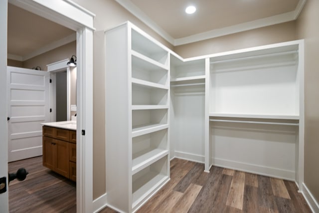 walk in closet with dark hardwood / wood-style flooring