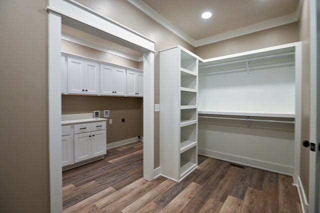 walk in closet with dark hardwood / wood-style flooring