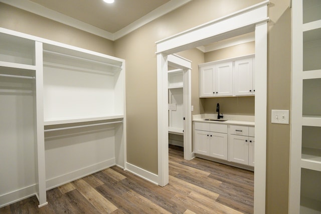 spacious closet featuring dark hardwood / wood-style flooring and sink