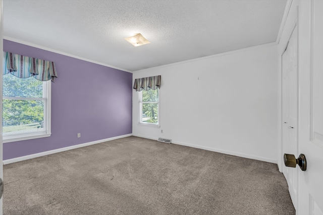 carpeted spare room featuring crown molding and a textured ceiling