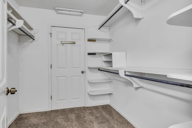 walk in closet featuring carpet