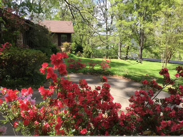 view of yard with a patio