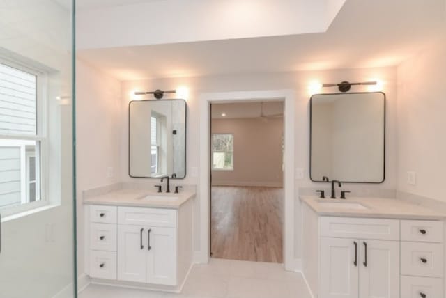 bathroom featuring hardwood / wood-style flooring and vanity