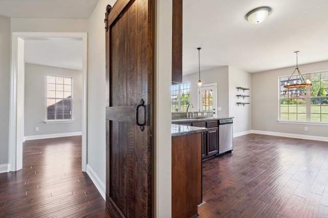 kitchen with a healthy amount of sunlight, stainless steel dishwasher, and dark wood-type flooring