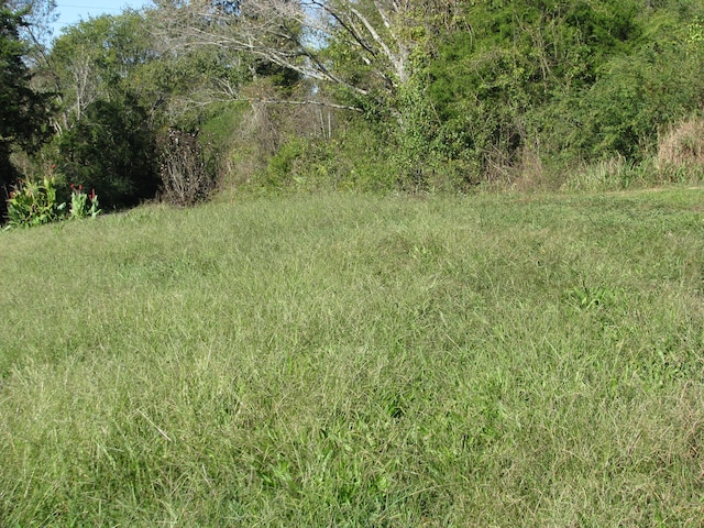 view of landscape