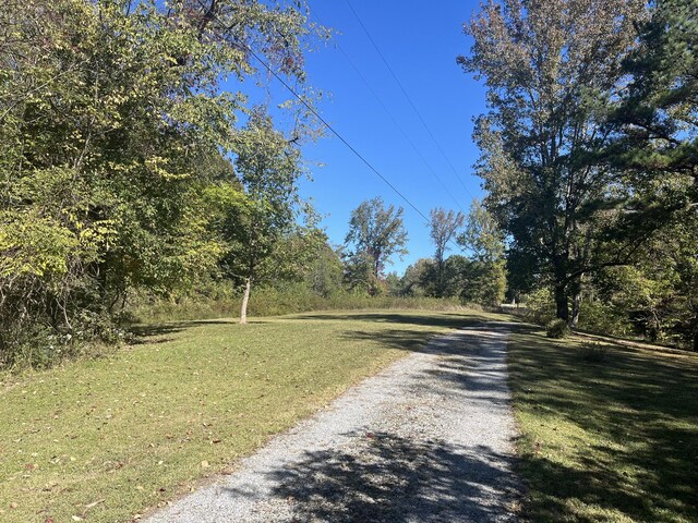 1125 Macon Wall Rd, Ashland City, TN 37015 - photo 4