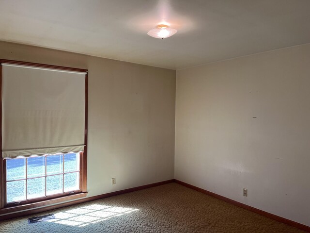1125 Macon Wall Rd, Ashland City, TN 37015 - photo 16