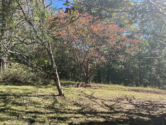 view of landscape