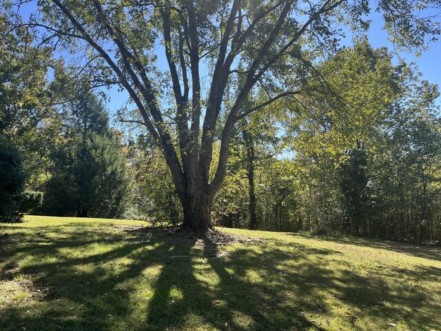 1125 Macon Wall Rd, Ashland City, TN 37015 - photo 21